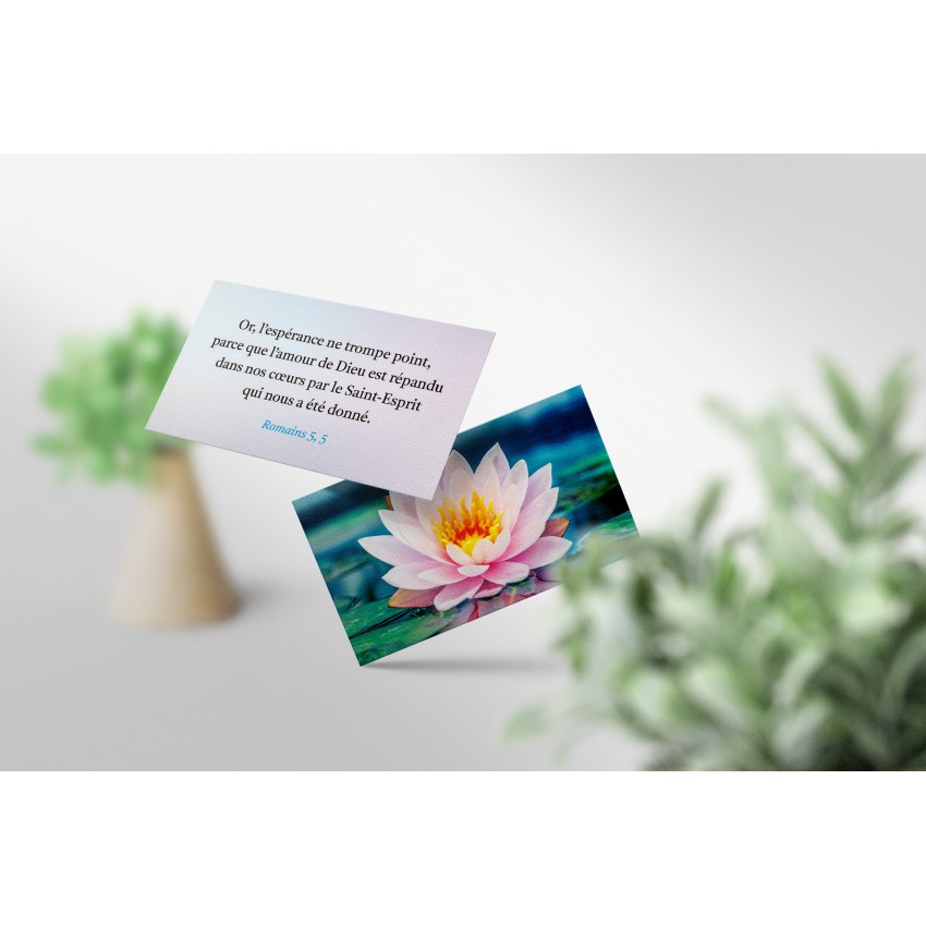 COFFRET 50 VERSETS D'ENCOURAGEMENT - MINI CARTES