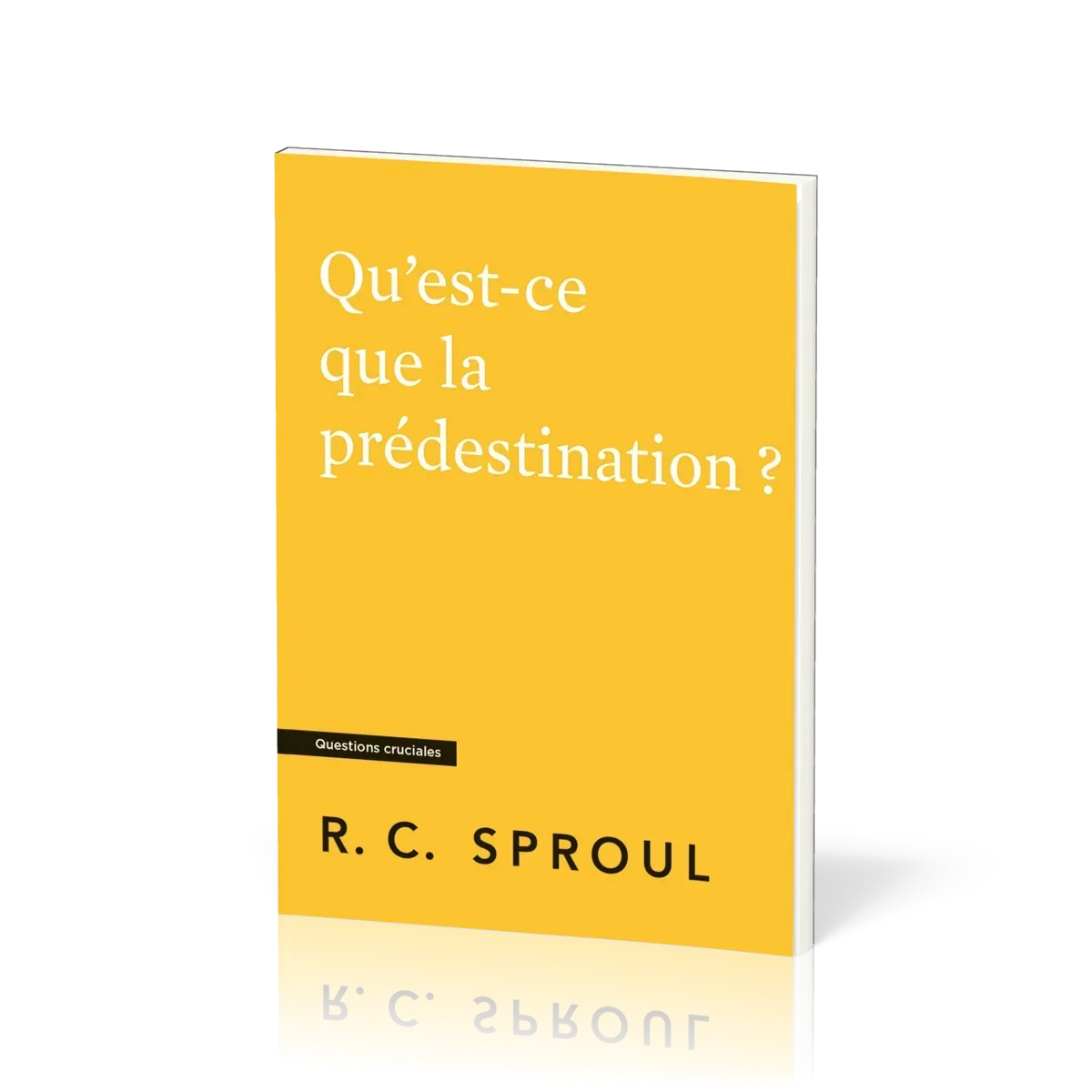 QU'EST-CE QUE LA PREDESTINATION ?