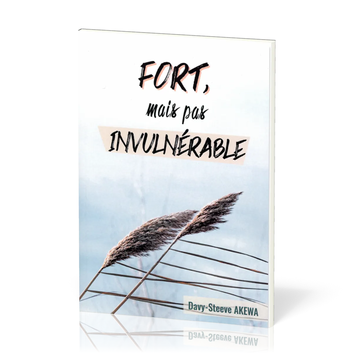 FORT MAIS PAS INVULNERABLE