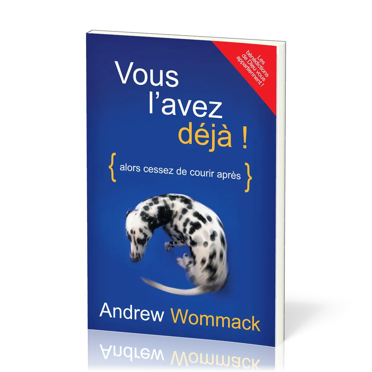 VOUS L'AVEZ DEJA ! - ALORS CESSEZ DE COURIR APRES