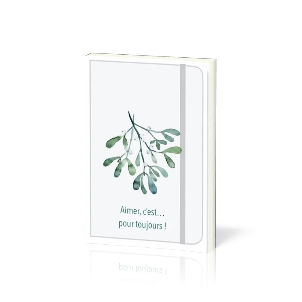 CARNET A6 RELIE GUI