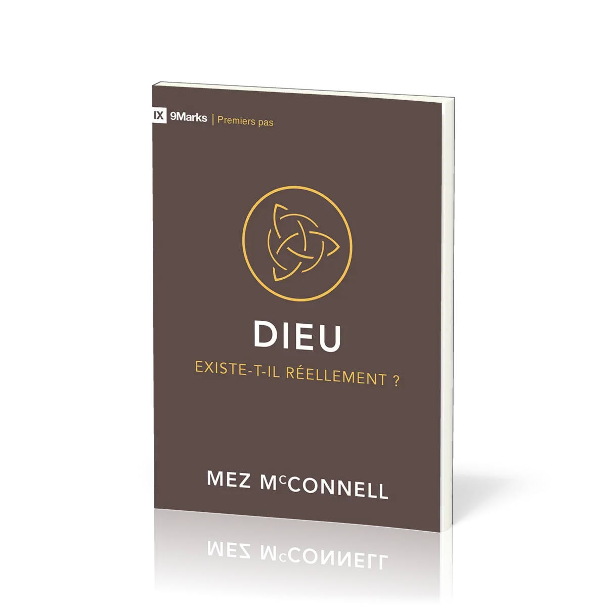 DIEU EXISTE-T-IL REELLEMENT ?