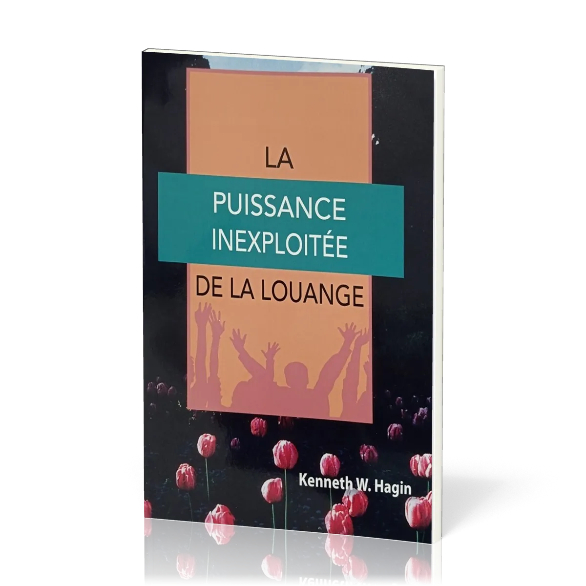 PUISSANCE INEXPLOITEE DE LA LOUANGE (LA)