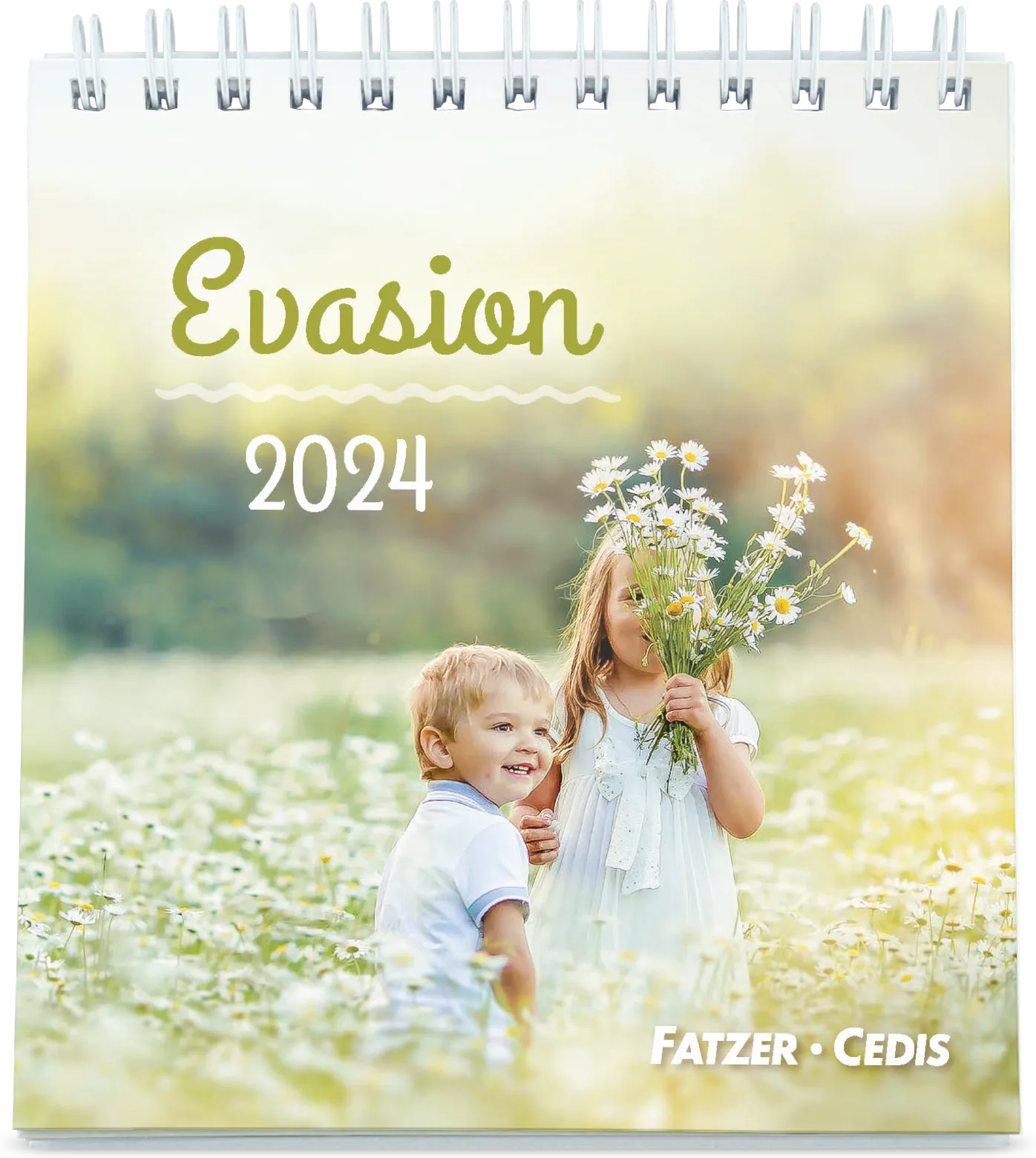 CALENDRIER CED EVASIONS