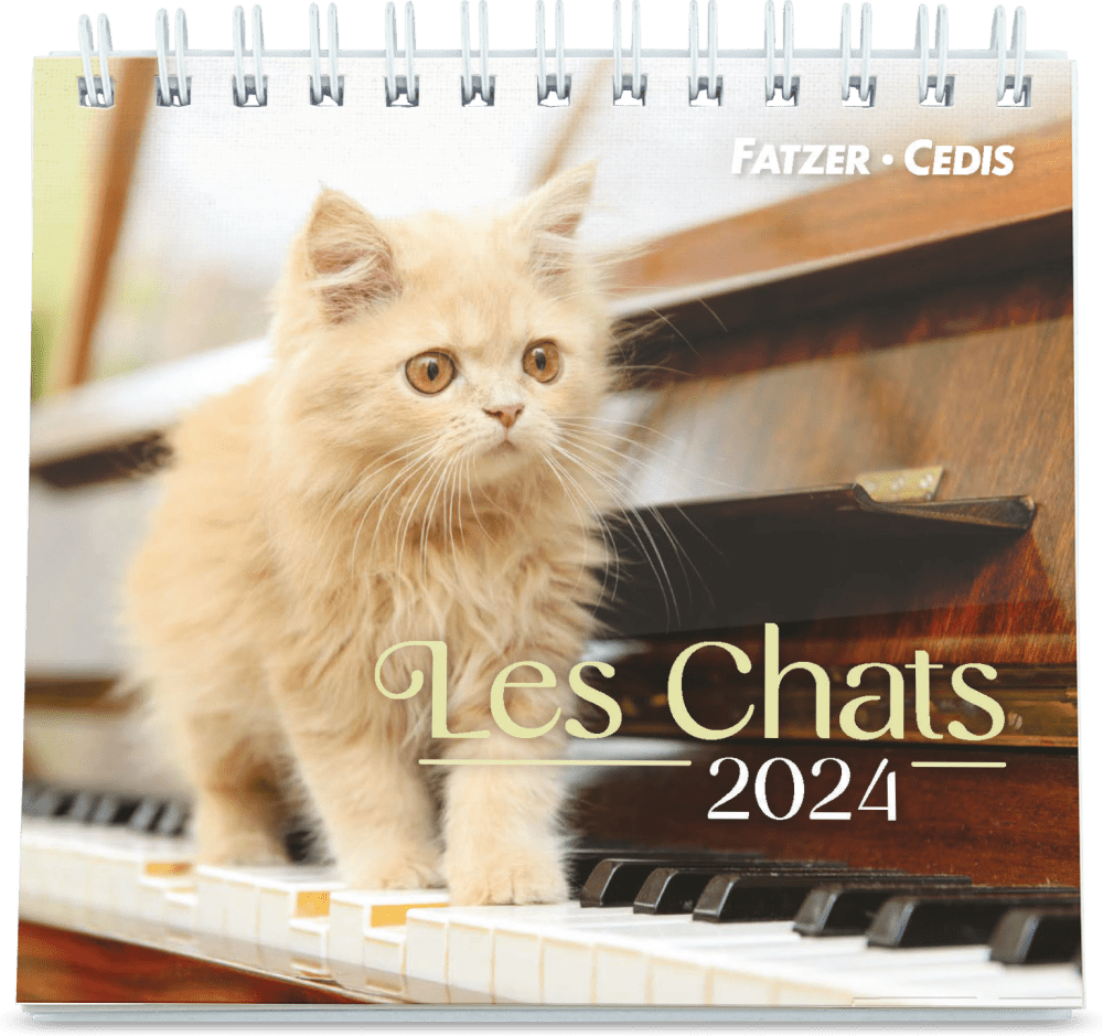CALENDRIER GBK LES CHATS - A POSER
