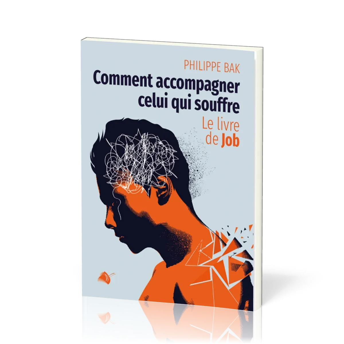 COMMENT ACCOMPAGNER CELUI QUI SOUFFRE - LIVRE DE JOB