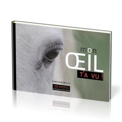 MON OEIL T'A VU !