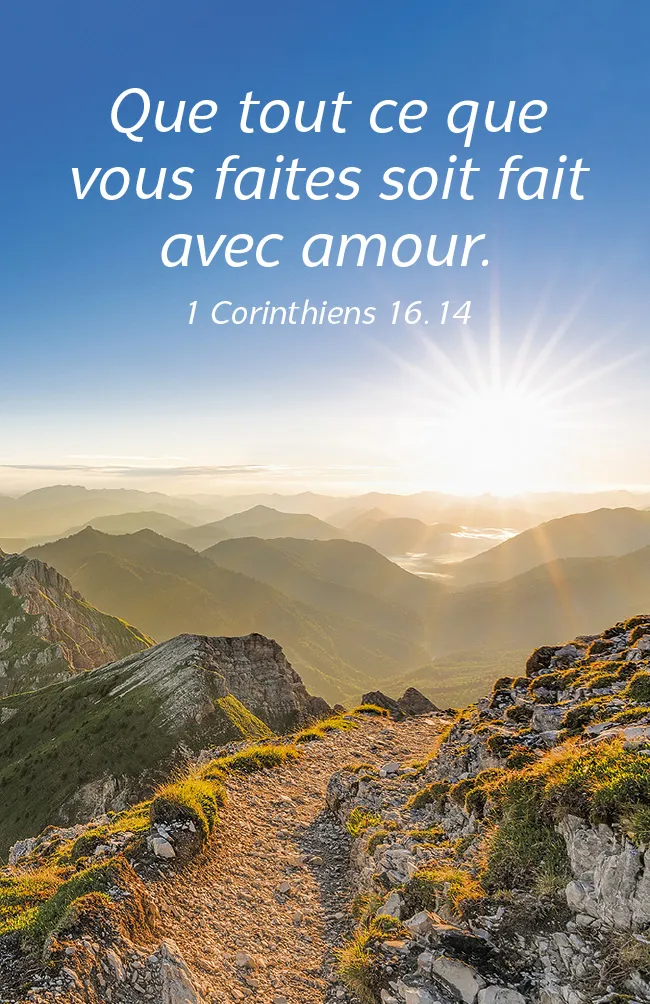 Français, La Vie pour toi - calendrier cartes postales - 2024 :: La Maison  de la Bible France