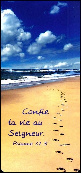 MARQUE-PAGES MAGNET PS37.5