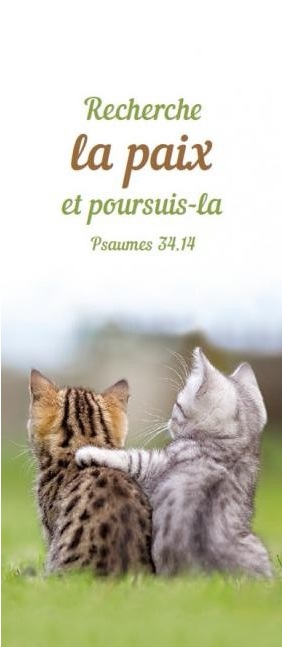 MARQUE-PAGE MAGNET PS 34.14