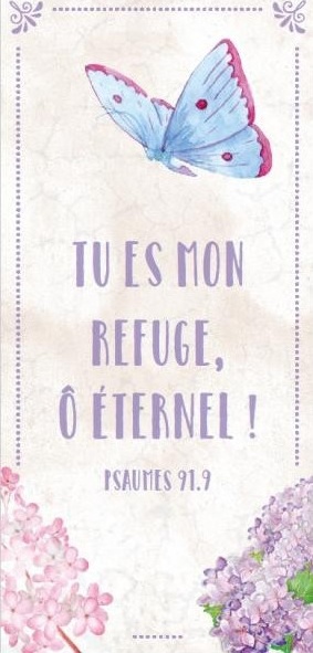 MARQUE-PAGES MAGNET PS 91.9