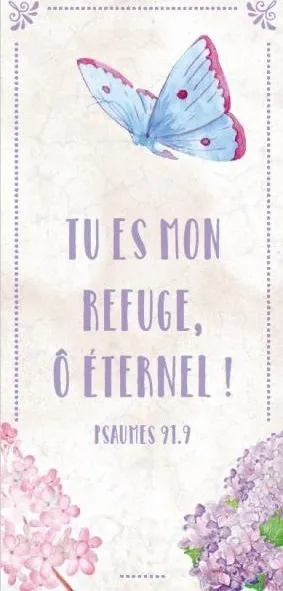 MARQUE-PAGES MAGNET PS 91.9