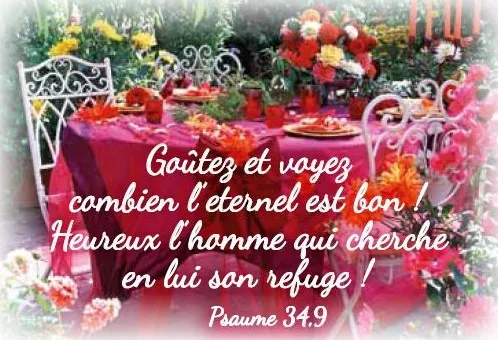 LOT DE 100 MINI-CARTES FOND DE JARDIN