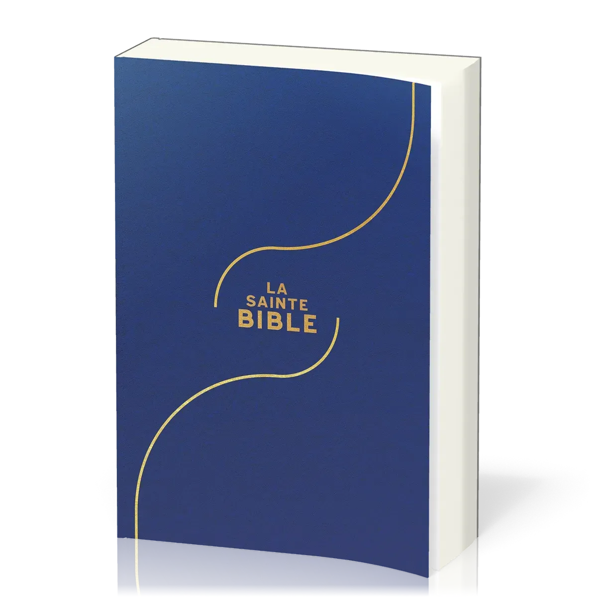 BIBLE SEGOND 1910 GROS CARACTERES SOUPLE VINYLE BLEUE 2 RUBANS MARQUE-PAGES