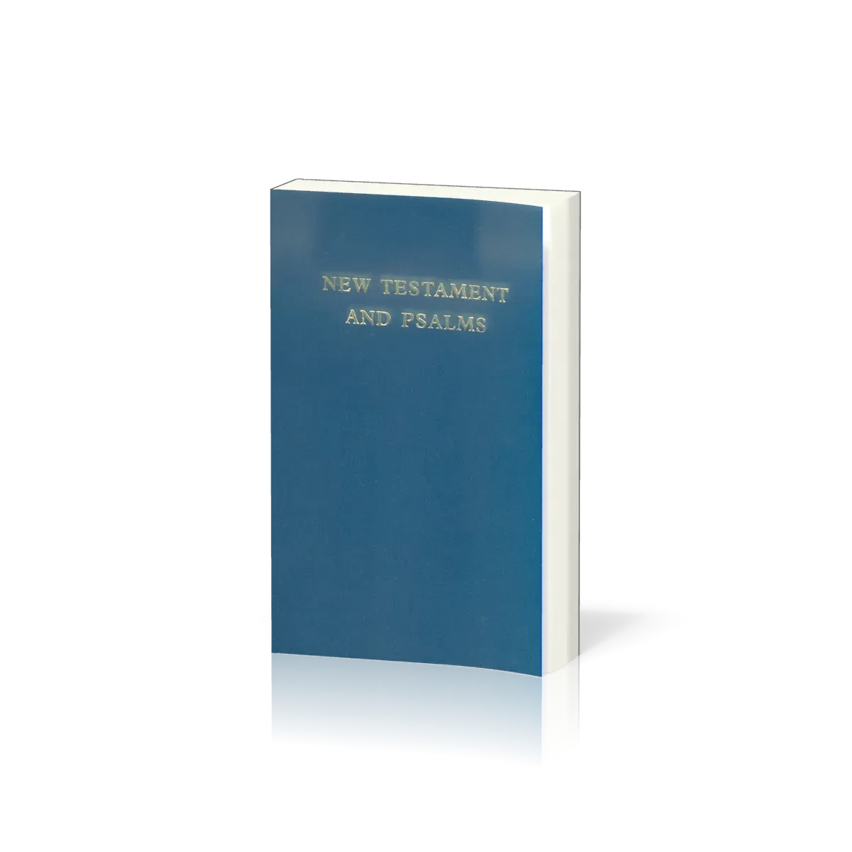 N.T. & PS. ANGL. TBS BLEU 42A MINI