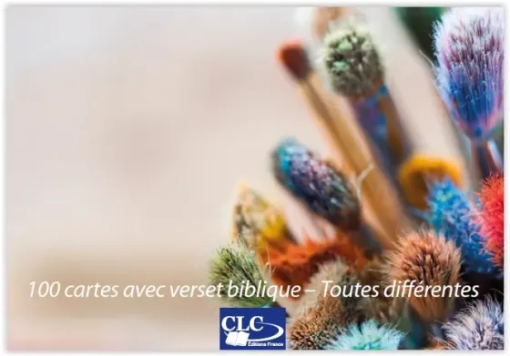 BOITE DE 100 MINI-CARTES AVEC VERSTS BIBLIQUES THEME EMOTION