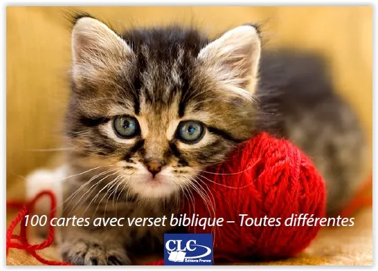 BOITE DE 100 MINI-CARTES AVEC VERSETS BIBLIQUES THEME ANIMAUX