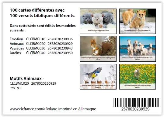 BOITE DE 100 MINI-CARTES AVEC VERSETS BIBLIQUES THEME ANIMAUX