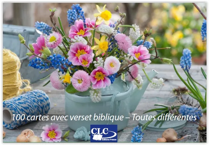 BOITE DE 100 MINI-CARTES AVEC VERSETS BIBLIQUES THEME JARDIN