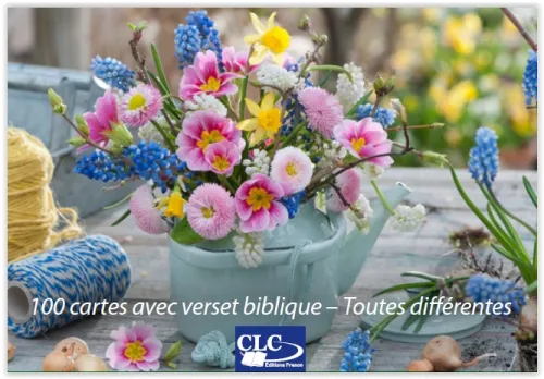 BOITE DE 100 MINI-CARTES AVEC VERSETS BIBLIQUES THEME JARDIN