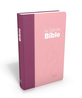 BIBLE NEG COMPACTE SOUPLE TOILE DUO ROSE PRALINE VIOLET FRUITS DES BOIS