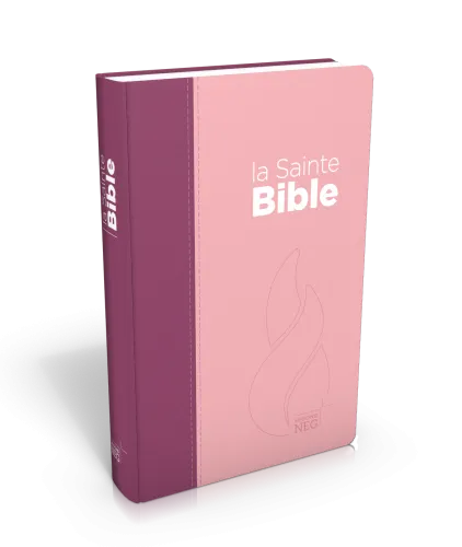 BIBLE NEG COMPACTE SOUPLE TOILE DUO ROSE PRALINE VIOLET FRUITS DES BOIS