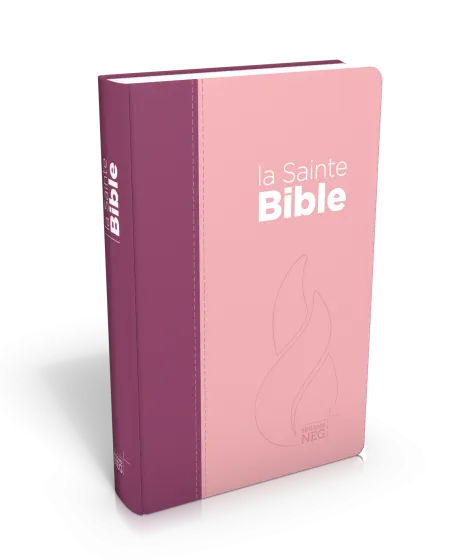 BIBLE NEG COMPACTE SOUPLE TOILE DUO ROSE PRALINE VIOLET FRUITS DES BOIS