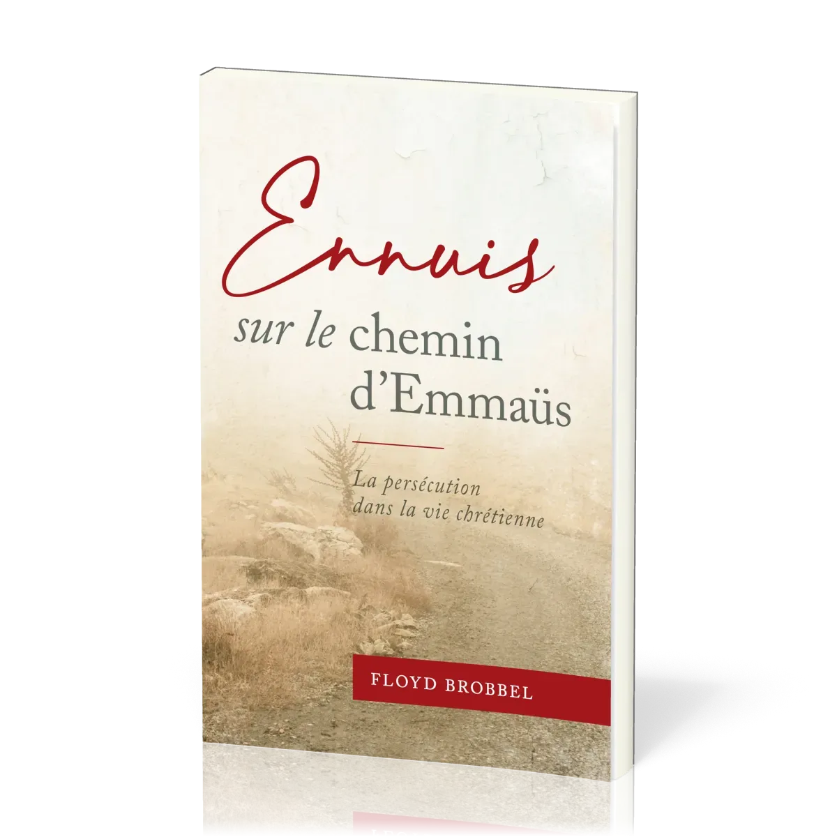 ENNUIS SUR LE CHEMIN D'EMMAUS - LA PERSECUTION DANS LA VIE CHRETIENNE