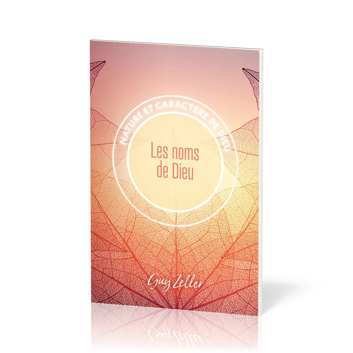 NOMS DE DIEU (LES) - NATURE ET CARACTERE DE DIEU