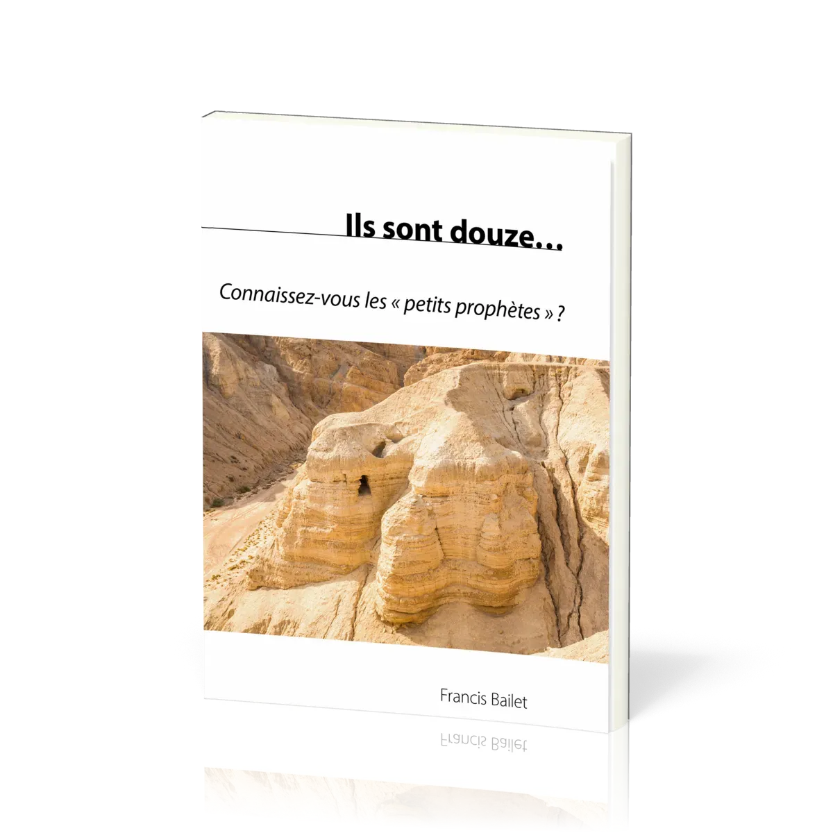 ILS SONT DOUZE....CONNAISSEZ VOUS LES PETITS PROPHETES ?