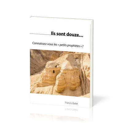 ILS SONT DOUZE....CONNAISSEZ VOUS LES PETITS PROPHETES ?