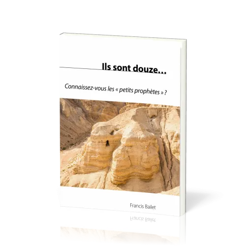 ILS SONT DOUZE....CONNAISSEZ VOUS LES PETITS PROPHETES ?