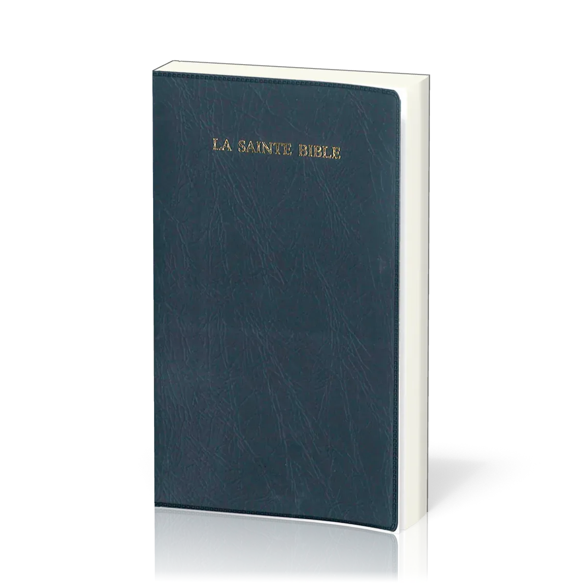 BIBLE SEGOND 1910 SOUPLE VINYLE MARINE AVEC ONGLETS