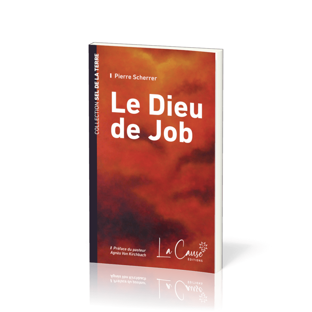 DIEU DE JOB (LE)