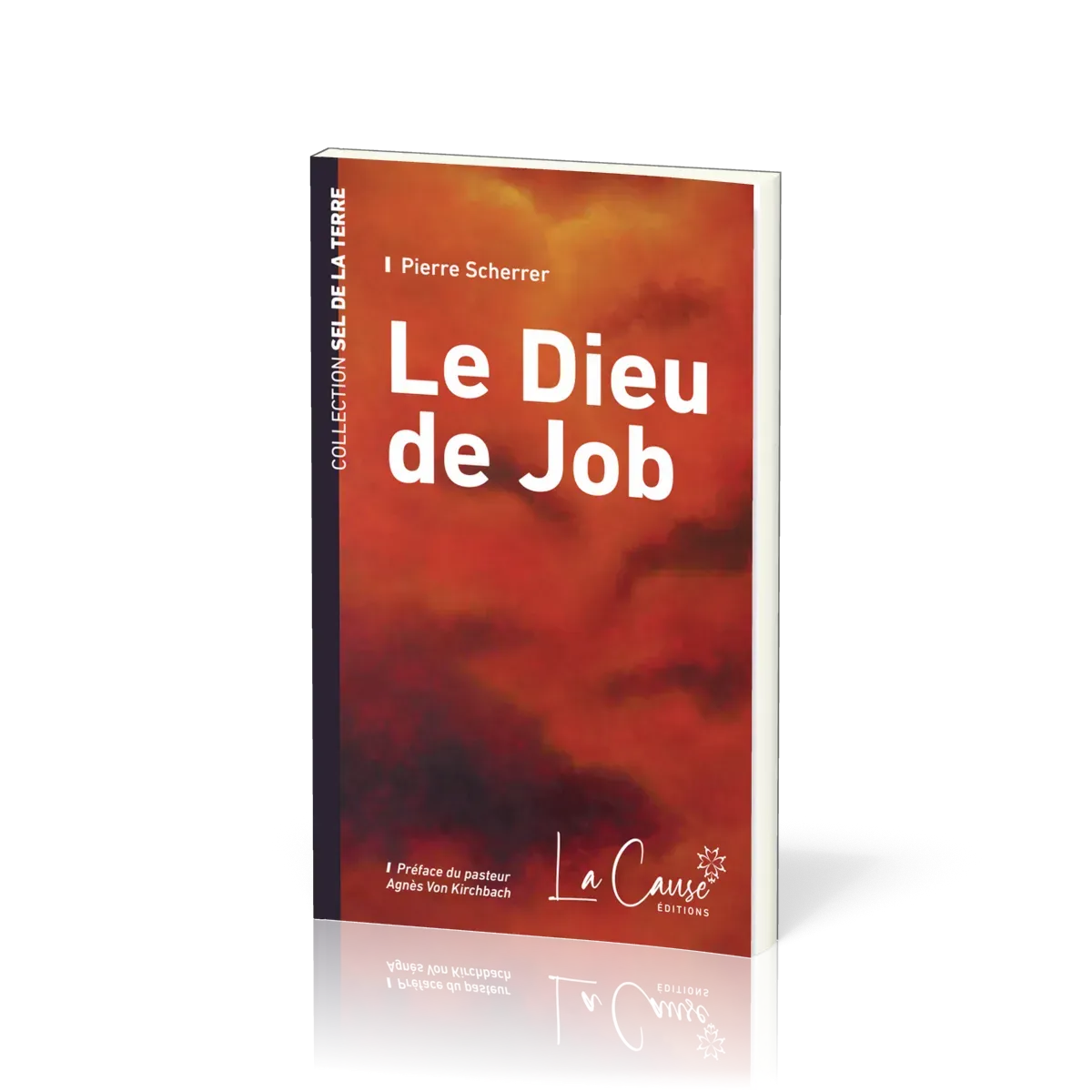 DIEU DE JOB (LE)