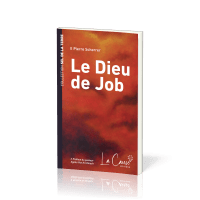 DIEU DE JOB (LE)