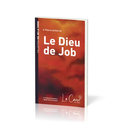 DIEU DE JOB (LE)