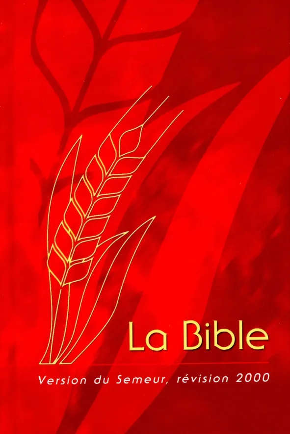 BIBLE SEMEUR RIGIDE ROUGE ILLUSTREE