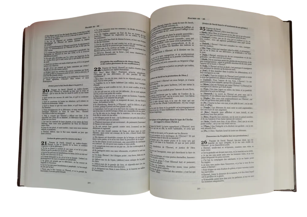 BIBLE MARTIN 1744 RIGIDE AVEC CHAINES DE PARALLELES 280E ANNIVERSAIRE