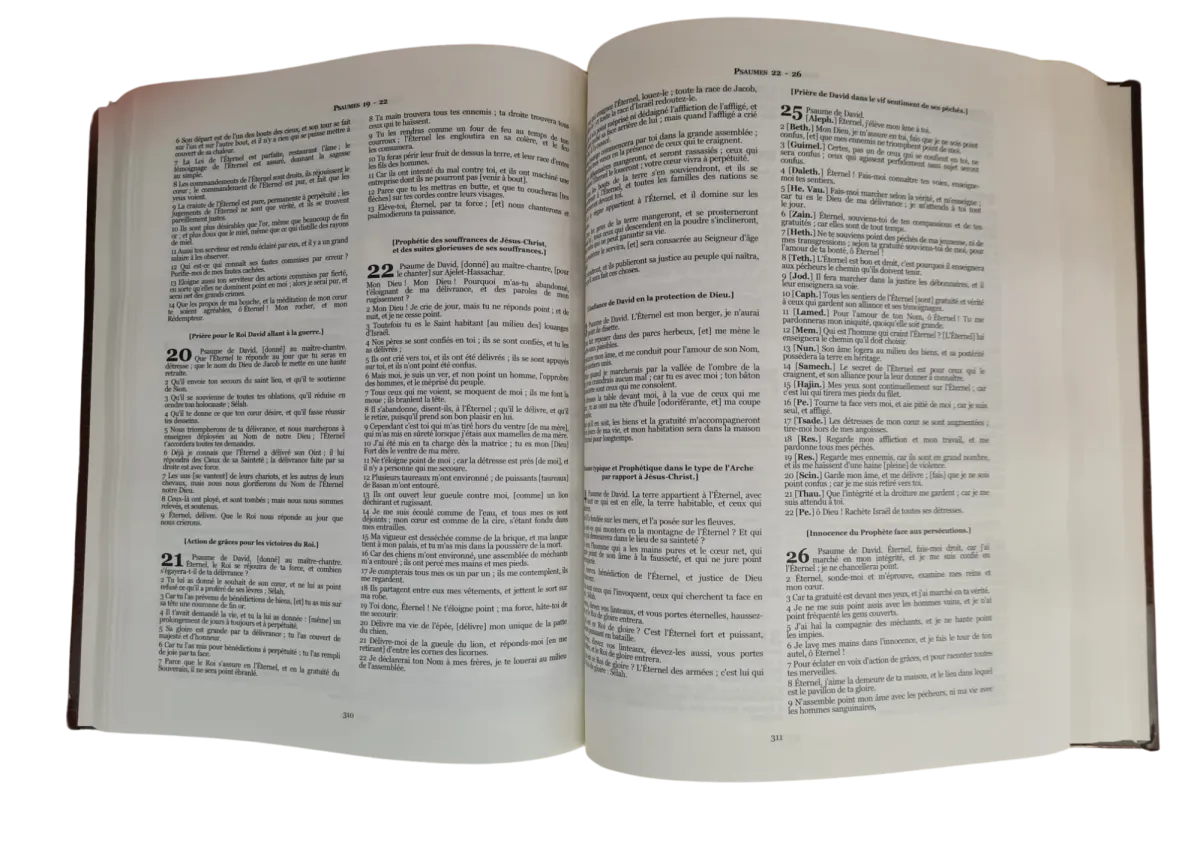 BIBLE MARTIN 1744 RIGIDE AVEC CHAINES DE PARALLELES 280E ANNIVERSAIRE
