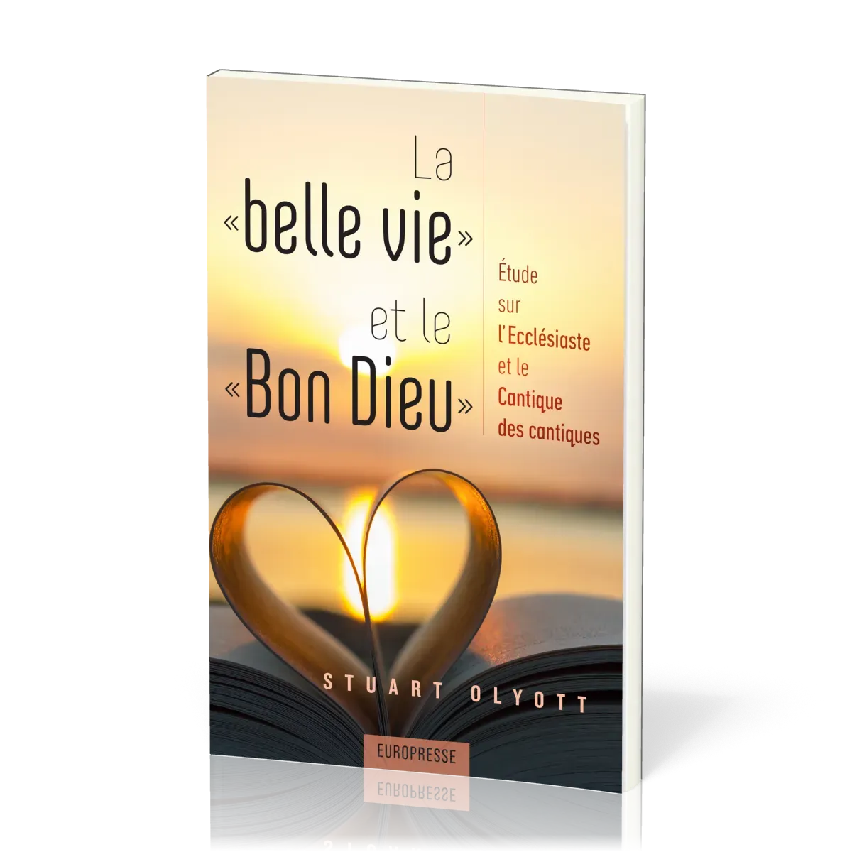 BELLE VIE ET LE BON DIEU (LA)