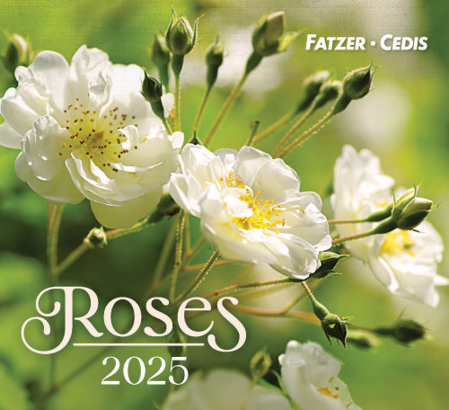 CALENDRIER GBK ROSES - A POSER