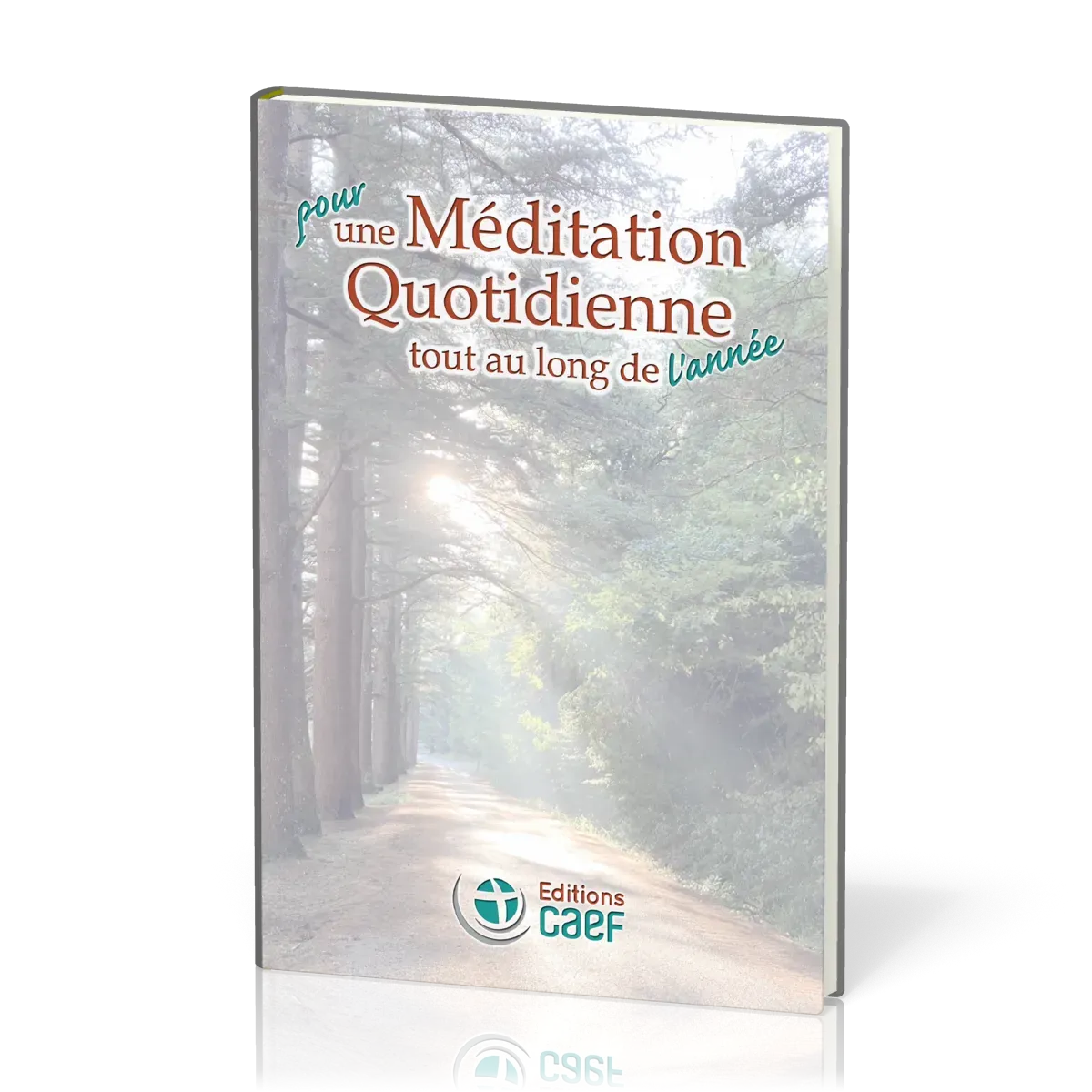 POUR UNE MEDITATION QUOTIDIENNE TOUTE AU LONG DE L'ANNEE