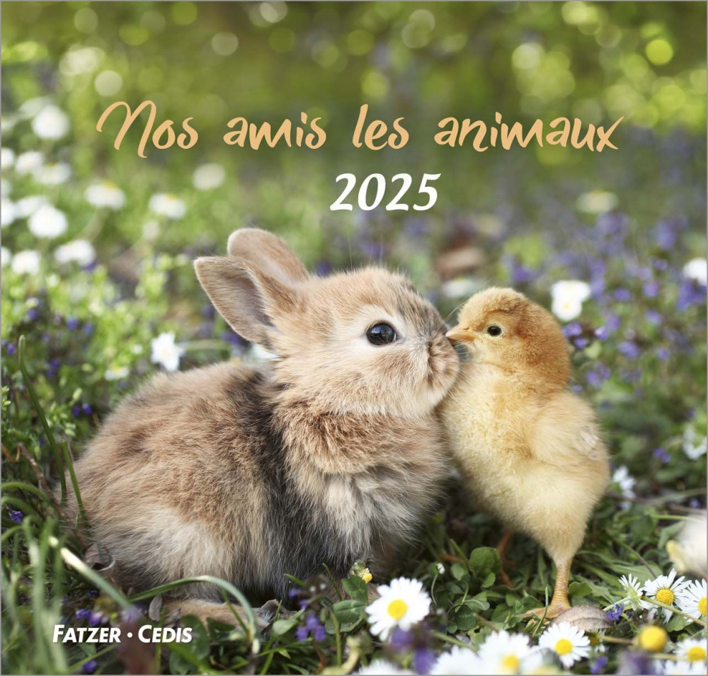 CALENDRIER CED NOS AMIS LES ANIMAUX