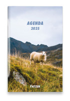 CALENDRIER CED AGENDA INTERNATIONAL 4 LANGUES