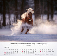 CALENDRIER EPT CHEVAUX