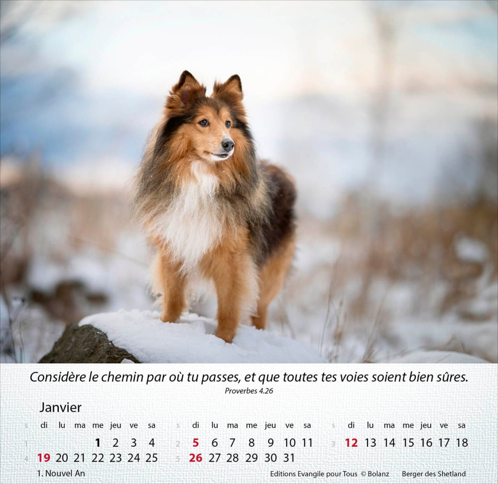 CALENDRIER EPT CHIENS