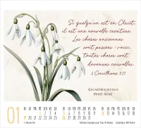 CALENDRIER EPT BEAUTE DE LA CREATION