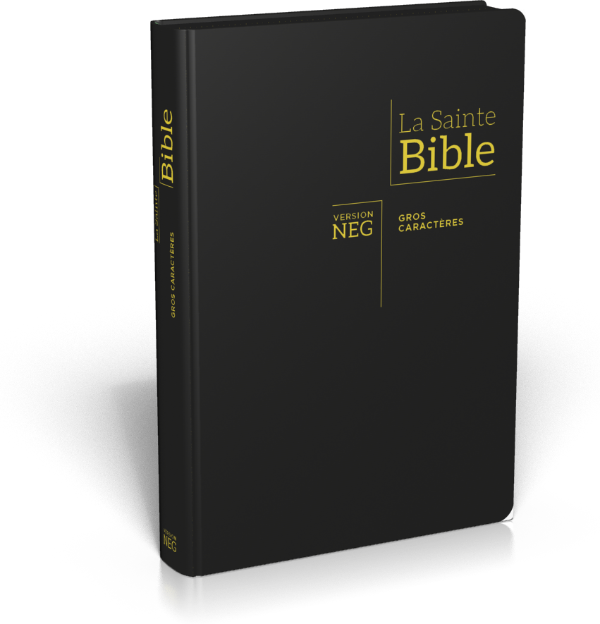 BIBLE NEG GROS CARACTERES SOUPLE FIBROCUIR FERMETURE ECLAIR TR. OR ONGLETS