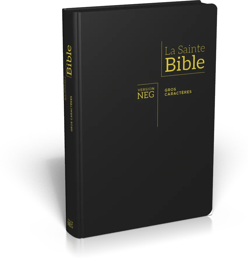 BIBLE NEG GROS CARACTERES SOUPLE FIBROCUIR FERMETURE ECLAIR TR. OR ONGLETS